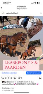 Leasers/bijrijders gezocht eemnes, Eén persoon