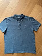 Grijze polo Ralph Lauren mt 5 / L, Ophalen of Verzenden, Zo goed als nieuw, Grijs, Lacoste