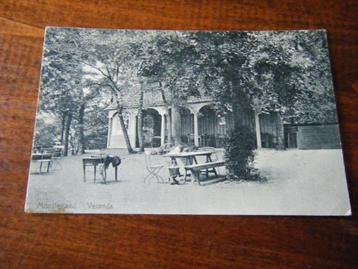 S34 - Montferland - Veranda - 1909 - Mooi/Oud beschikbaar voor biedingen