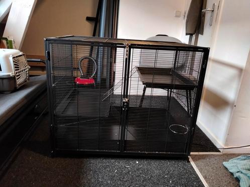 Keddoc animal home penthouse rattenkooi, Dieren en Toebehoren, Knaagdieren en Konijnen | Hokken en Kooien, Zo goed als nieuw, Kooi