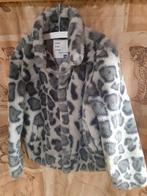 Meisjesjas, Kinderen en Baby's, Gebruikt, Meisje, Ophalen of Verzenden, Hema