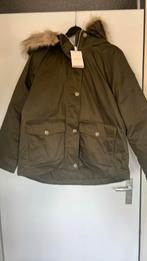 Tommy hilfiger jas, Kleding | Dames, Jassen | Winter, Maat 46/48 (XL) of groter, Nieuw, Ophalen of Verzenden, Groen