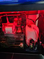 Red Sea reefer 300Xl. Complete set., Eén persoon