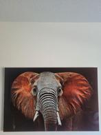 Olifant Glasschilderij - Zo Goed Als Nieuw!, Ophalen, Zo goed als nieuw, Schilderij, 100 tot 125 cm
