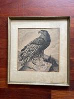 Prent in lijst, Ophalen, Gebruikt, Dier, Prent