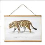 Poster luipaard 70x50cm, Ophalen of Verzenden, Nieuw