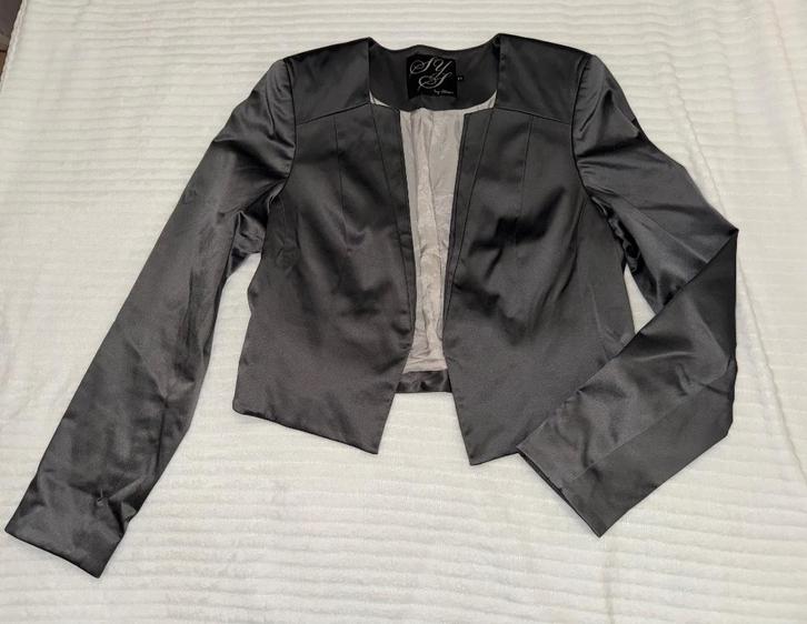 Grijs bolero jasje, Kleding | Dames, Jasjes, Kostuums en Pakken, Gedragen, Jasje, Maat 42/44 (L), Grijs, Verzenden
