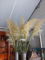 Pampas pluimen, Ophalen, Zo goed als nieuw