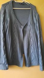 Een mooi, warm, blauw vest, Ophalen of Verzenden, Zo goed als nieuw, Blauw