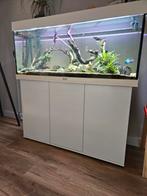 Aquarium 120 cm, Ophalen of Verzenden, Zo goed als nieuw, Leeg aquarium