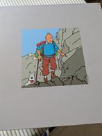 Kuifje Beeld, Verzamelen, Stripfiguren, Ophalen of Verzenden, Kuifje, Nieuw, Beeldje of Figuurtje