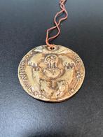 carnaval insigne / veldteken  Aalst Belgie, Ophalen of Verzenden, Gebruikt