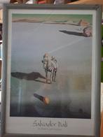 Salvador Dali: le devenir geoogique, Ophalen