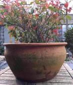 Oud Hollandse antieke terracotta bloempot 36cm, Tuin en Terras, Bloempotten, 25 tot 40 cm, Gebruikt, Rond, Binnen