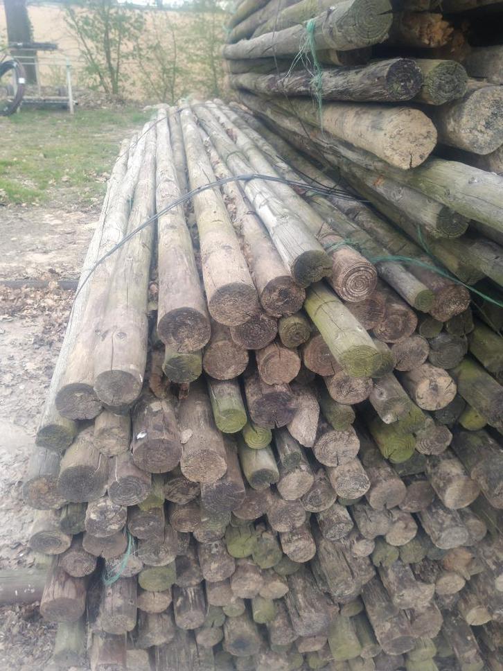 Dunne palen diameter 6 en lengte 2.50 m, Tuin en Terras, Palen, Balken en Planken, Gebruikt, Palen, 250 cm of meer, Ophalen