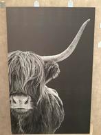Schotse Hooglander op canvas, Ophalen, Gebruikt, Overige typen, 75 tot 100 cm