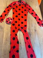 Pak Ladybug - Maat 134, Kinderen en Baby's, Carnavalskleding en Verkleedspullen, Ophalen of Verzenden, Gebruikt, 134 t/m 140, Jongen of Meisje
