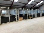 Box vrij op prachtige pensionstal, alle faciliteiten in ZH, Dieren en Toebehoren, Stalling en Weidegang, Weidegang, 1 paard of pony