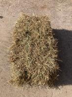 hooi pakjes, Ophalen of Verzenden, Vee