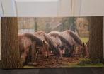 Foto op canvas Belgen/trekpaarden, Huis en Inrichting, Ophalen, 50 tot 75 cm, Zo goed als nieuw, 100 tot 125 cm