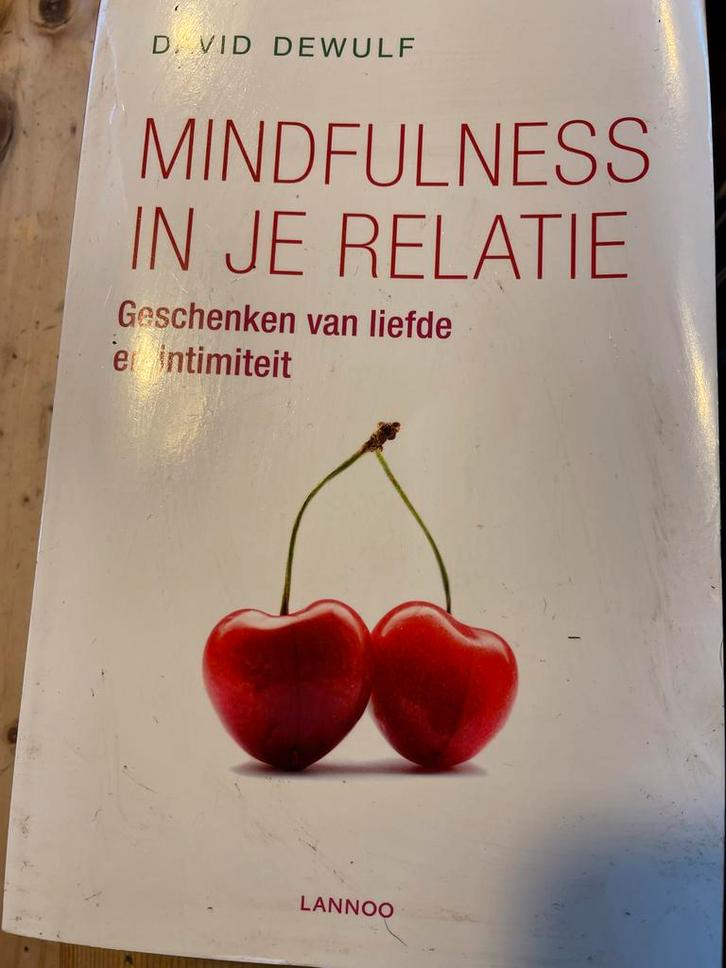 Mindfulness in je relatie - David Dewulf, Boeken, Psychologie, Gelezen, Overige onderwerpen, Ophalen of Verzenden