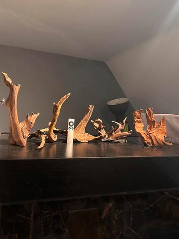 +100 stukken driftwood / kienhout / spiderwood voor aquarium beschikbaar voor biedingen
