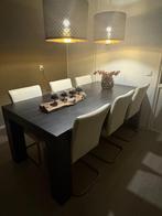 Eettafel met stoelen, Huis en Inrichting, Tafels | Eettafels, Ophalen, Gebruikt, 200 cm of meer, 50 tot 100 cm