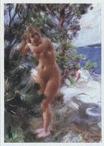 0113  ANDERS ZORN ~ na het baden, Verzenden, 1980 tot heden, Ongelopen, Overige thema's