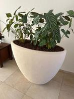 PLANTENBAK  110 br x 50 x hgt 90 cm, Ophalen, Kunststof, 40 cm of meer, Zo goed als nieuw