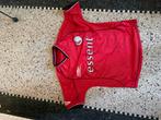 Matchworn FC Twente voetbalshirt Grujic, Ophalen of Verzenden