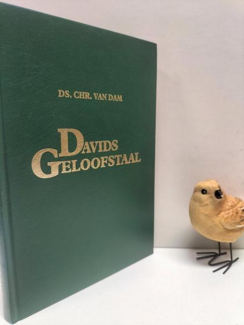 Dam, Ds. Chr. Van; Davids geloofstaal, Boeken, Godsdienst en Theologie, Gelezen, Christendom | Protestants, Ophalen of Verzenden
