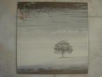 LP Genesis – Wind & Wuthering – Incl. Songteksten, Ophalen of Verzenden, 1960 tot 1980, Gebruikt, 12 inch