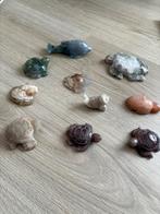 Diverse zeedieren, Ophalen of Verzenden