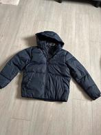 Tommy Hilfiger Jas Jongen Maat 164, Ophalen, Zo goed als nieuw