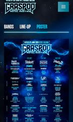 Ticket Graspop 2025 ~ zaterdag 21 juli, Eén persoon, Juli