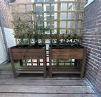 Verhoogde plantenbak, donkerbruin, Tuin en Terras, Bloembakken en Plantenbakken, Ophalen, Zo goed als nieuw, 60 tot 100 cm, 60 cm of meer