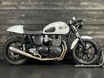 Triumph BONNEVILLE T100 CUSTOM (bj 2013), Motoren, Motoren | Triumph, Chopper, Bedrijf, Meer dan 35 kW, 865 cc