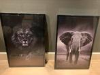 Canvas leeuw en olifant, Nieuw, Minder dan 50 cm, 50 tot 75 cm, Ophalen