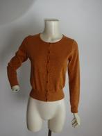 King Louie vest mt S, Maat 38/40 (M), Overige kleuren, Verzenden, Zo goed als nieuw