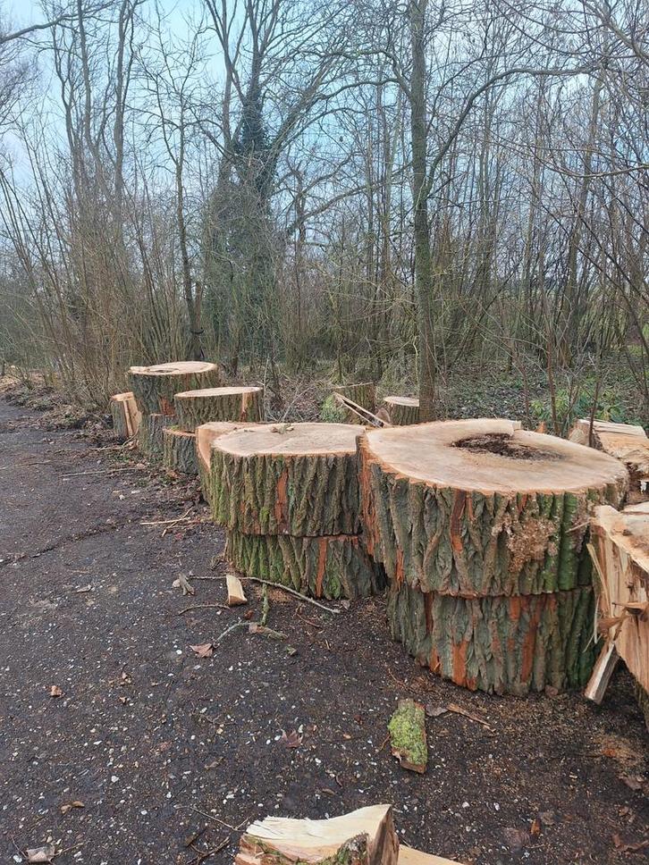 Stammen Hout te Koop, Tuin en Terras, Haardhout, Stammen, Overige houtsoorten, 6 m³ of meer, Ophalen