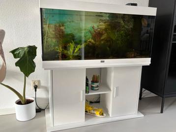 Aquarium van Aqualantis 220 liter beschikbaar voor biedingen
