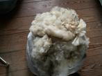 Schapenwol - 3 kg - Witte Vacht, Ophalen of Verzenden, Nieuw, Haken
