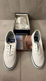 Sperry top sider classic cvo white maat 7m/37,5/4,5 NIEUW, Kleding | Dames, Schoenen, Wit, Nieuw, Sperry, Ophalen of Verzenden