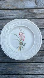 12 Wedgwood Posy gebaksbordjes, Ophalen of Verzenden, Zo goed als nieuw, Bord(en), Wedgwood