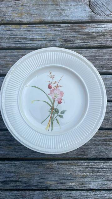 12 Wedgwood Posy gebaksbordjes beschikbaar voor biedingen