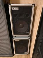 Roland Cube 100 - 2 stuks, Muziek en Instrumenten, Ophalen, Zo goed als nieuw, Minder dan 500 watt