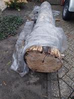 Eiken boomstam - 3 meter - Zagen tot planken mogelijk, Doe-het-zelf en Verbouw, Hout en Planken, Ophalen, Gebruikt, Eiken, Balk