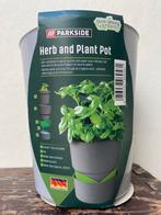 Kruiden- en Plantenpot - Nieuw!, Ophalen of Verzenden, Nieuw, Overige typen