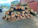 Haardhout brandhout, Tuin en Terras, Haardhout, Minder dan 3 m³, Blokken, Ophalen, Overige houtsoorten