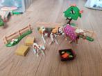 Playmobil set 5227 paarden wei, Ophalen of Verzenden, Zo goed als nieuw